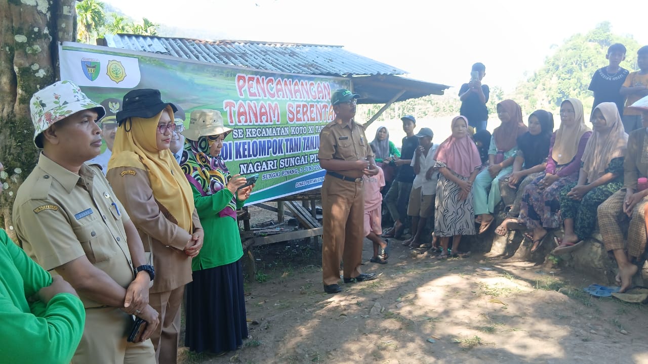 Menghadiri Kegiatan Penanaman Padi Serentak Kelompok Tani Tanjung Alai Nagari Sungai Pinang
