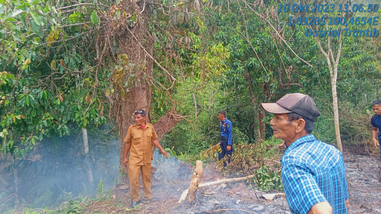 Terjadi kebakaran lahan di Nagari Siguntur Kecamatan Koto XI Tarusan