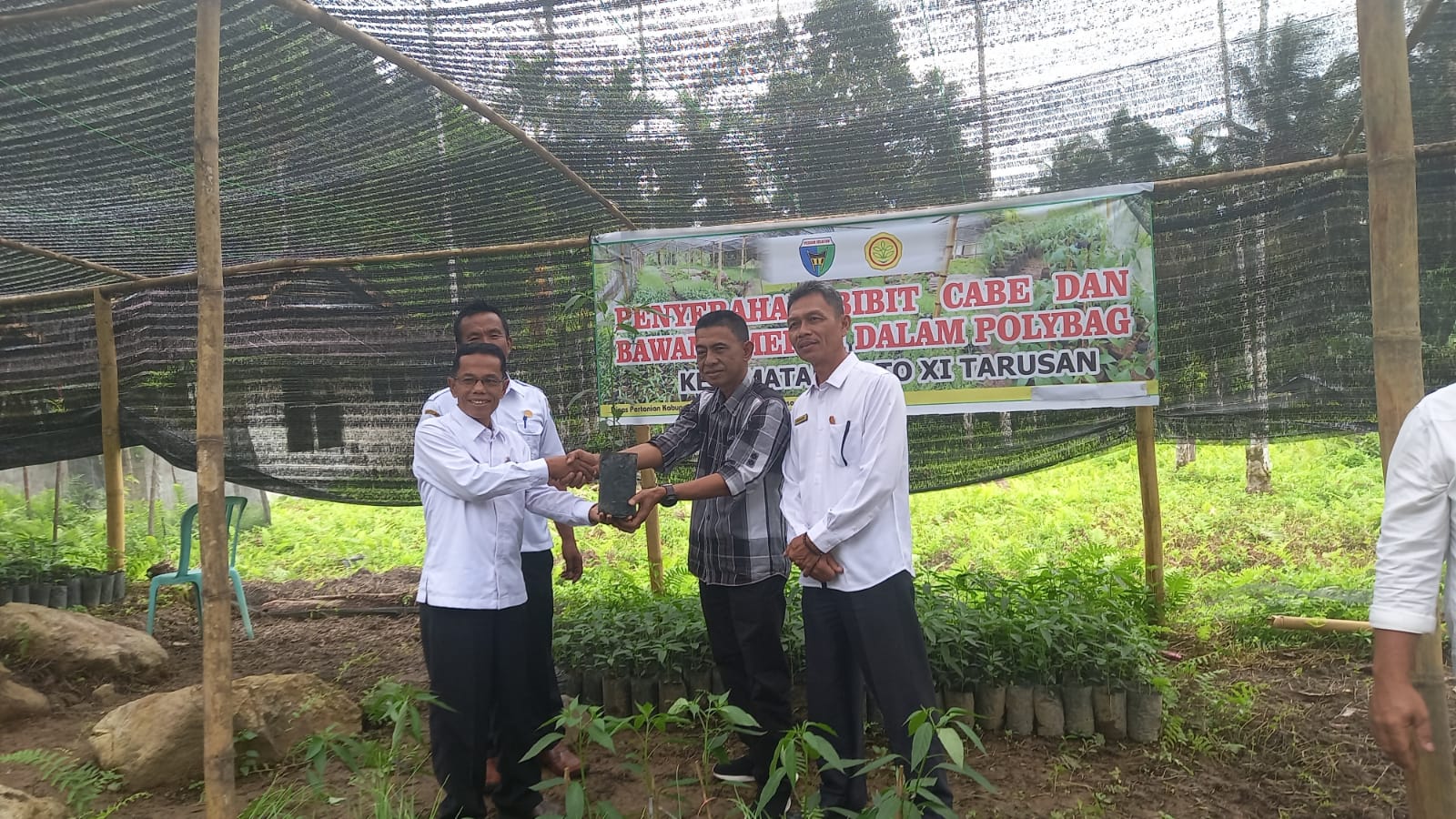 BPP Pertanian  menyerahkan Bibit Unggul  Cabe dan Bawang di Cumateh Nagari Duku